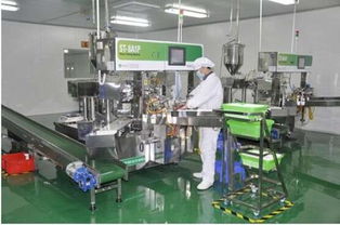 愛護工廠參觀之旅 以匠心與品質，鑄就皮革制品的卓越承諾